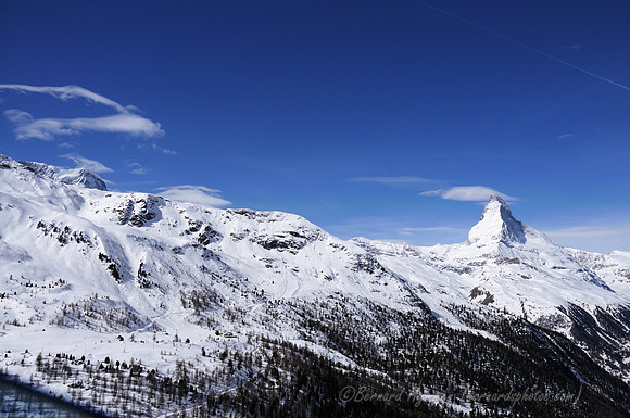 D300_85019