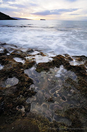 D300_58369