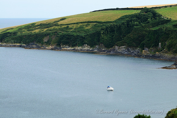 D300_100349