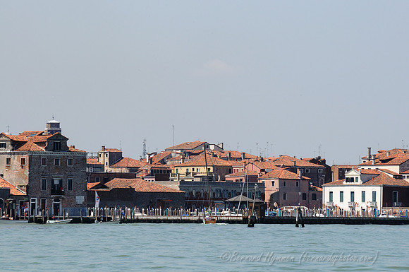 D300_44806.jpg