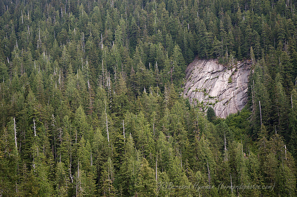 D70_01145