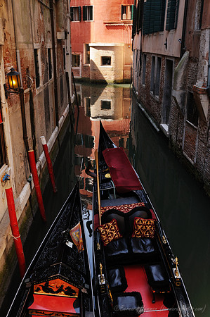 D300_44508.jpg