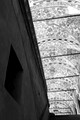 D300_47505.jpg