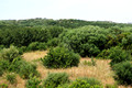 D300_47246.jpg