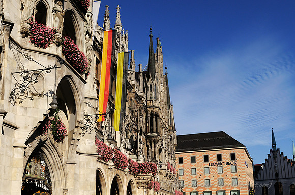 D300_73634