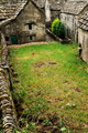 D300_99989