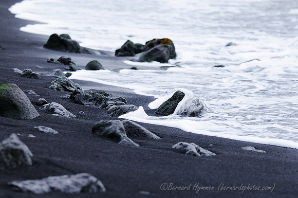 D300_92409