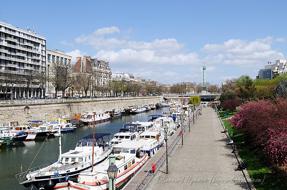 D300_85836