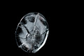 D70_21276