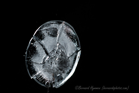D70_21276