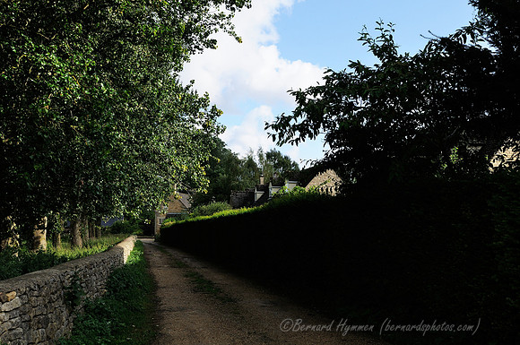 D300_99587
