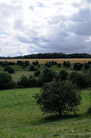 D300_99632