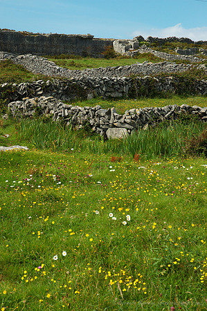D70_062672004-08-25_01