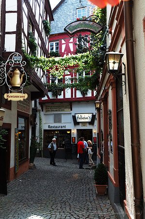 D70_17848