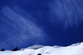D300_88435