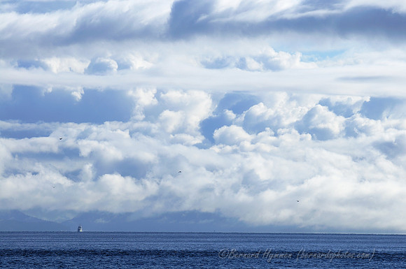D300_89435
