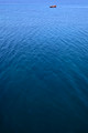 D300_46650.jpg