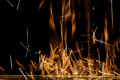 D300_62559_touch