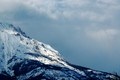 D70_21031.jpg