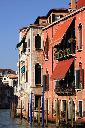 D300_45699.jpg