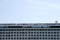 D300_44957.jpg