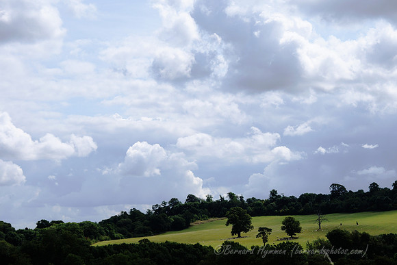 D300_99830