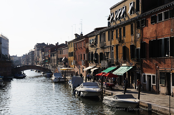 D300_45769.jpg