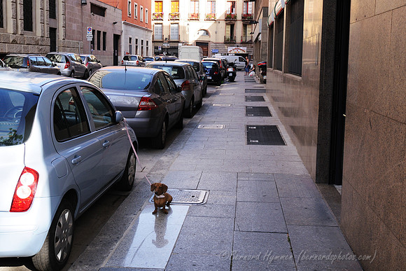 D300_47334.jpg