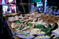 D300_45421.jpg