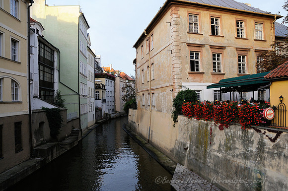 D300_74191