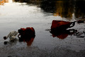 D70_11880