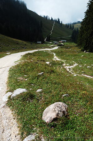 D70_18418