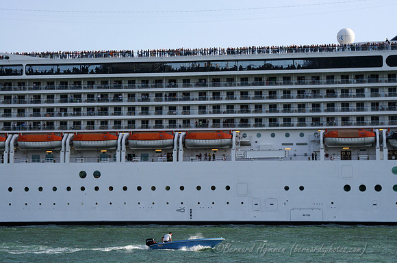 D300_44958.jpg