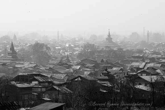 D300_70435