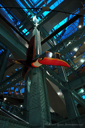 D70_052512004-08-20_01