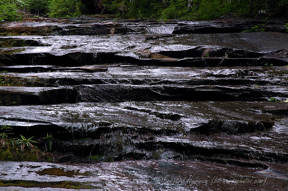 D70_01161