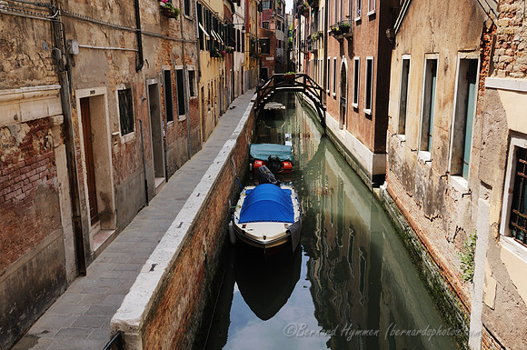 D300_44457.jpg