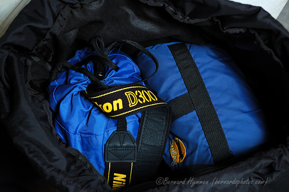 D70_31151