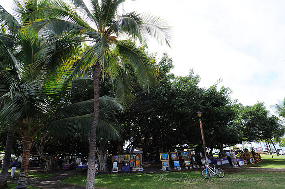 D300_58145