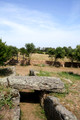 D300_47317.jpg