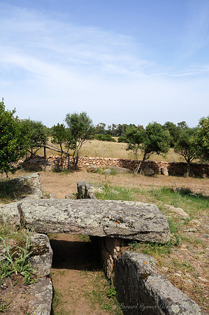D300_47317.jpg