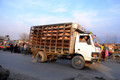 D300_68991