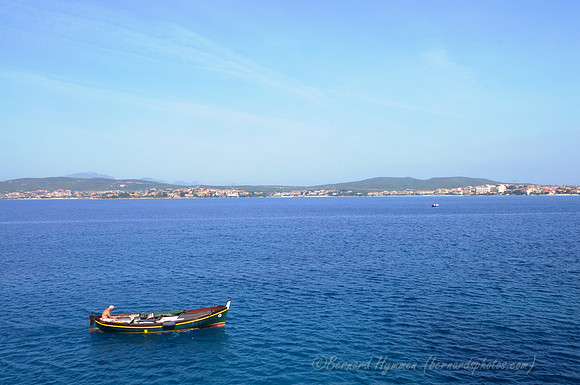 D300_46665.jpg