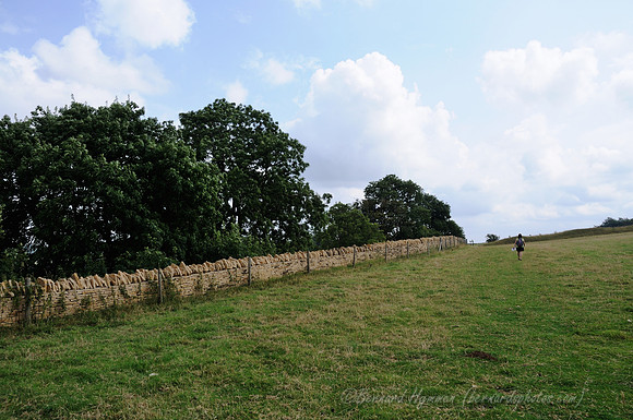 D300_99217