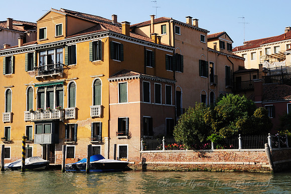 D300_45694.jpg