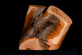 Z6_176268