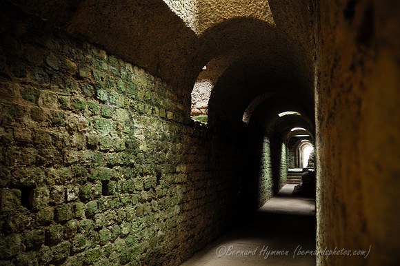 D70_17719