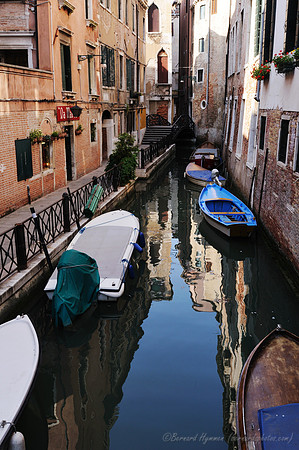 D300_44619.jpg