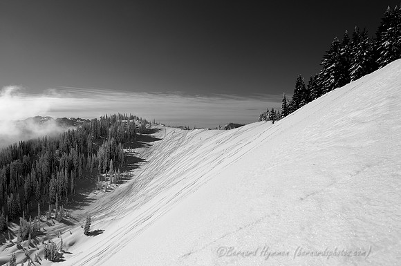 D300_59578