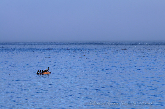 D300_89427